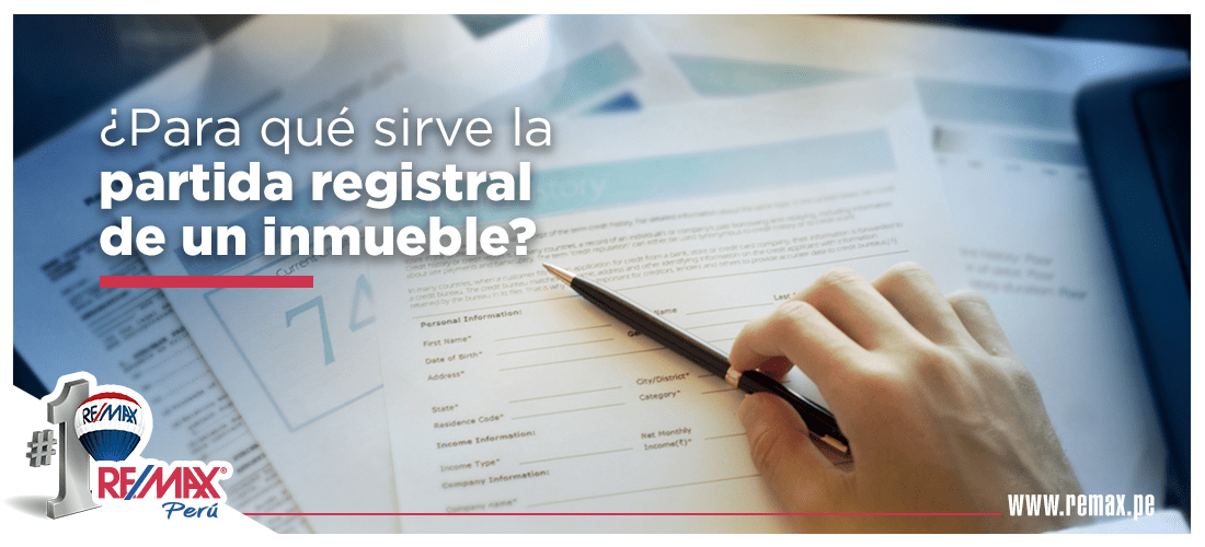 partida registral